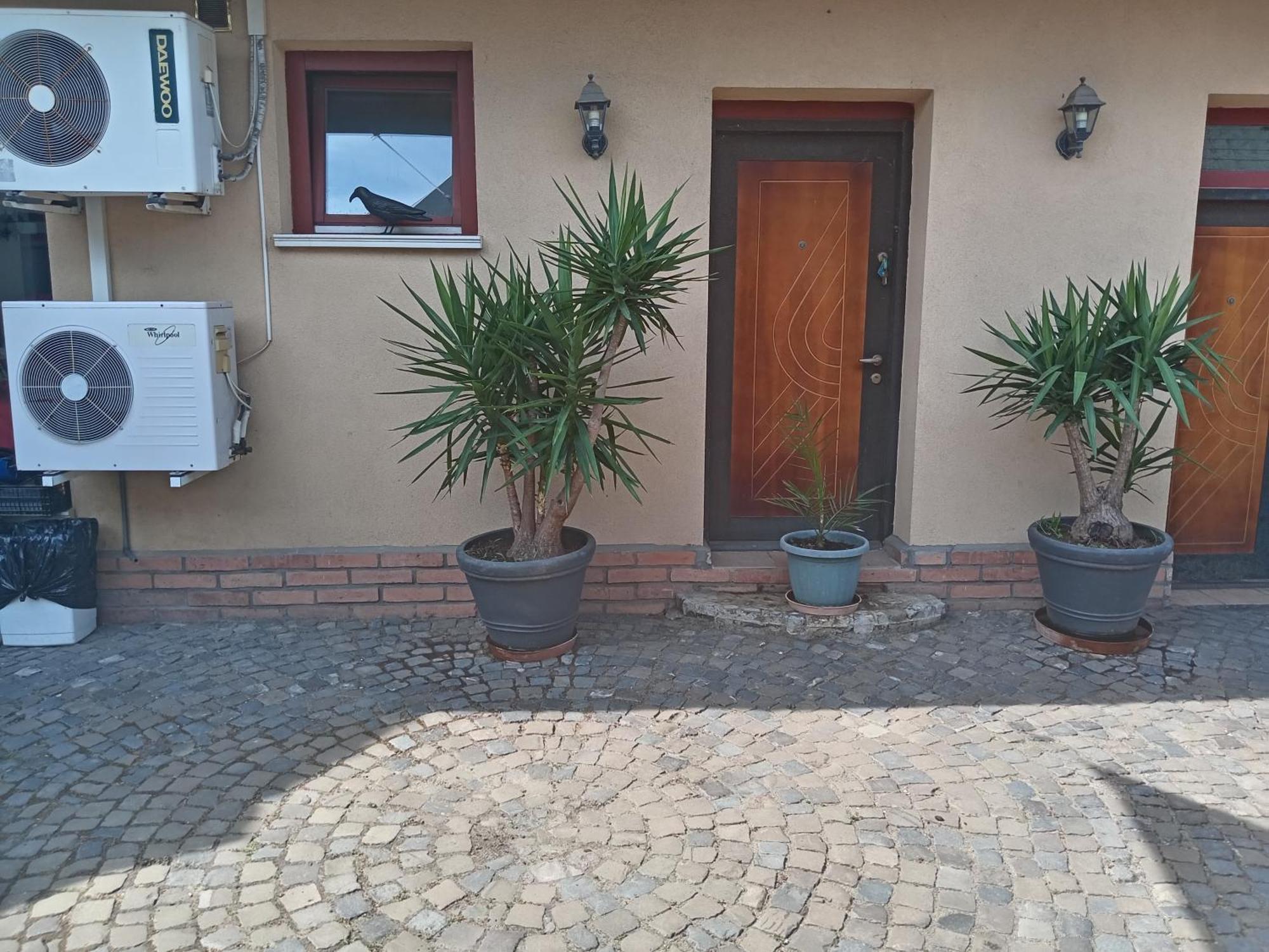 Brique Jobb Mint Othon Apartman Hajdúszoboszló Zewnętrze zdjęcie